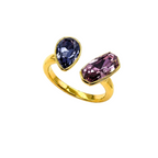 Anello Duo Viola & Blu in Acciaio Gold
